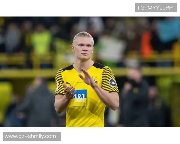 壁纸足球明星哈兰德的精彩瞬间与背后的奋斗故事